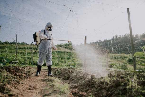 Best Commercial Pest Control Services  in Amboy, WA