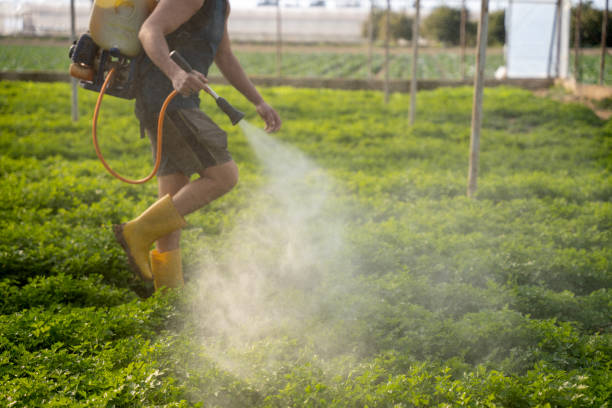 Reliable Amboy, WA Pest Control Solutions
