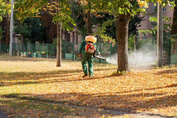 Best Emergency Pest Control  in Amboy, WA