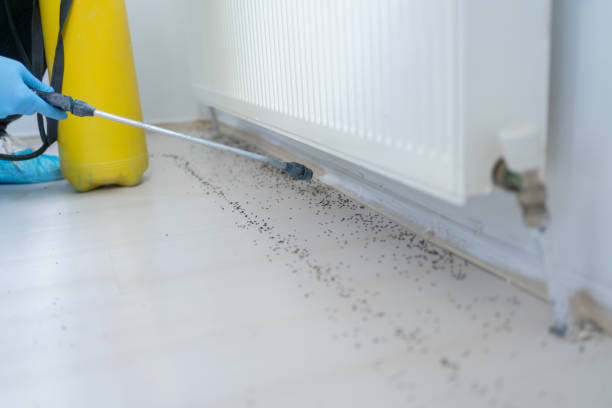 Best Pest Removal Services  in Amboy, WA