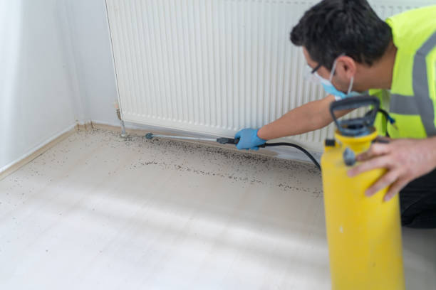Best Local Pest Control Services  in Amboy, WA